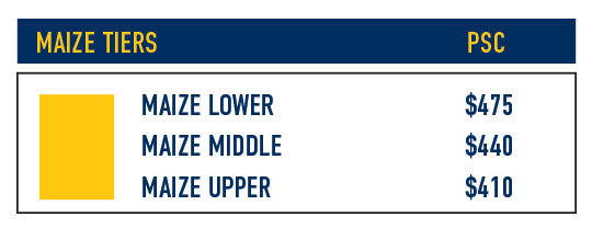 Maize Seat Section