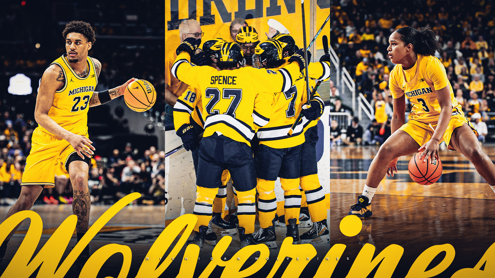 Michigan Basketball and Hockey